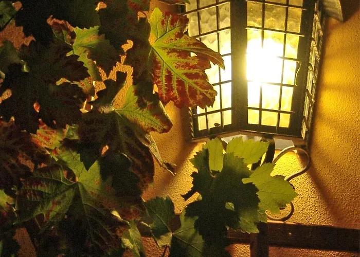 Hotel Elbschlösschen Refugium Pirna